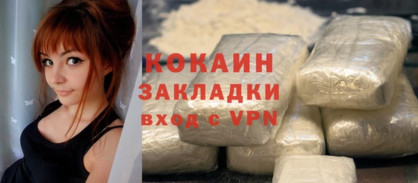индика Красноперекопск