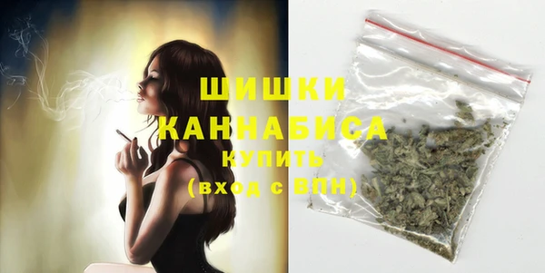 индика Красноперекопск