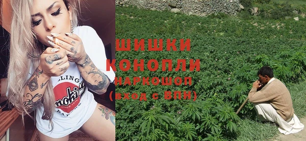 индика Красноперекопск