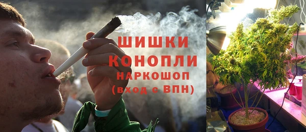 индика Красноперекопск